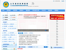 Tablet Screenshot of idv.com.cn